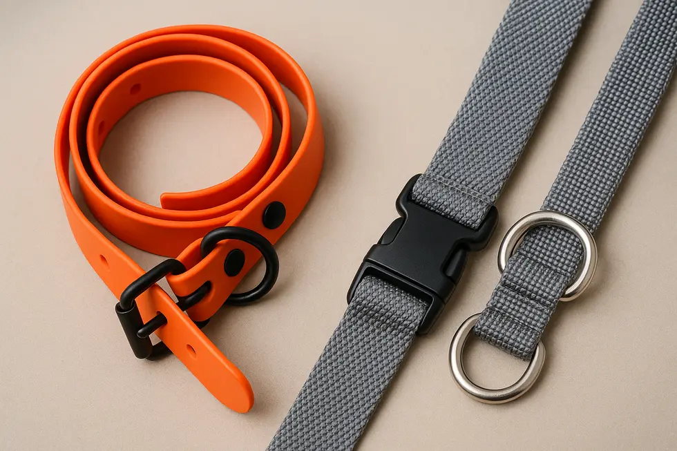 A collection of innovative dog collars showcasing the latest designs and technology.